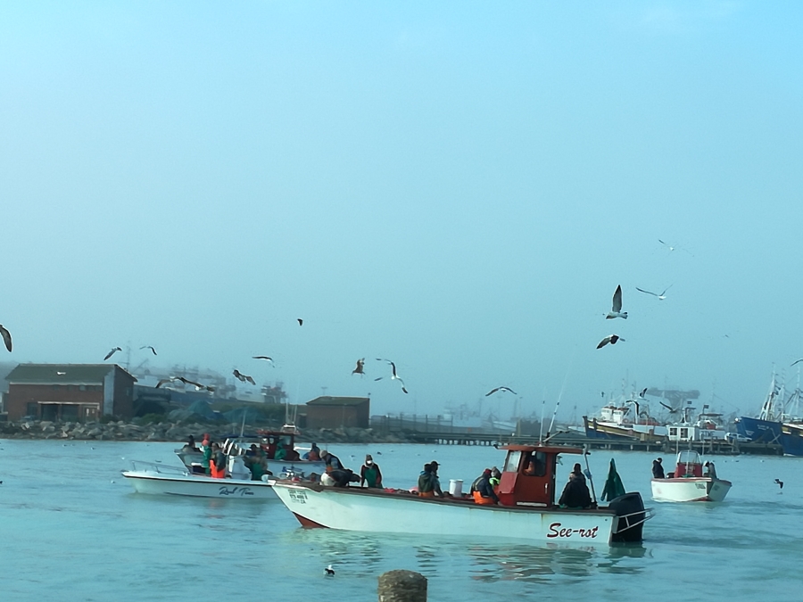 0 Bedroom Property for Sale in St Helena Views Western Cape